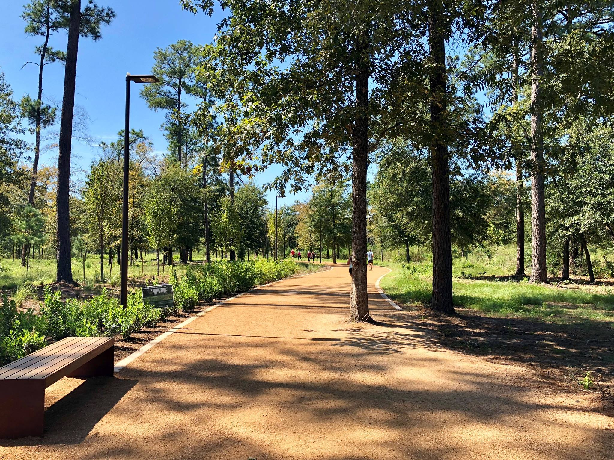 Houston’s Memorial Park, where we did some of our summer runs