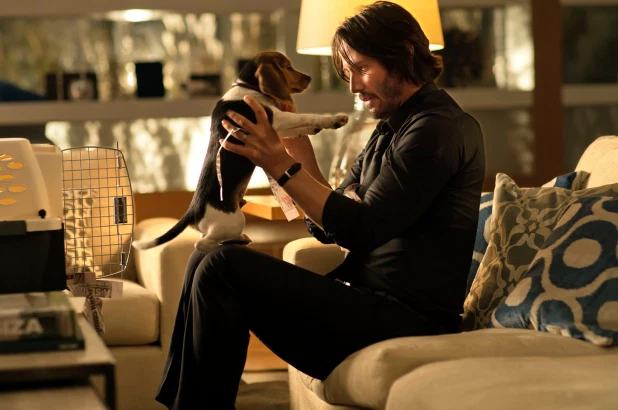 Keanu Reeves plays John Wick with the character&rsquo;s puppy whose (spoilers) death prompts Wick&rsquo;s justified destruction of the criminal world. (David Lee)
